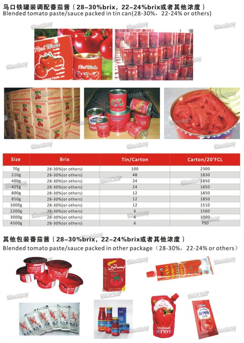 Canned Tomato Paste Jam Source Ketchup Processing Line and Machine