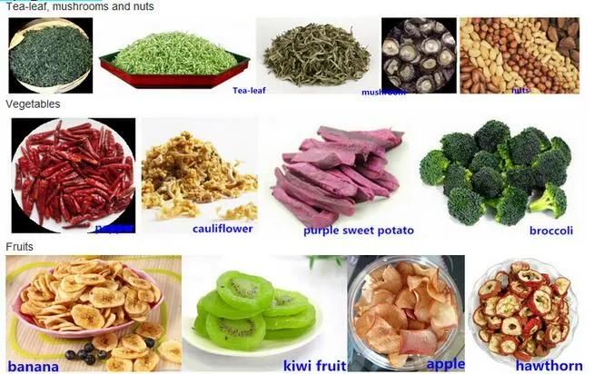 Tunnel Mesh Belt Ginger Chilli Vegetable Fruit Food Dryer