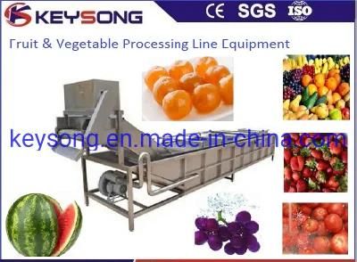 Food Machinery Vegetable Washing Machine