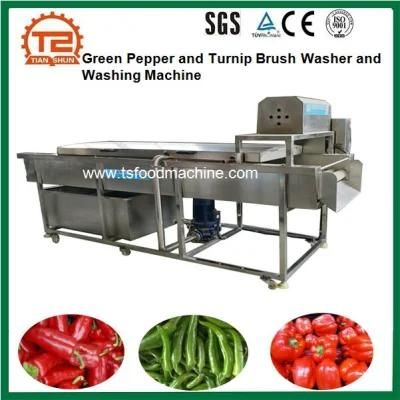 Green Pepper and Turnip Brush Washer and Washing Machine