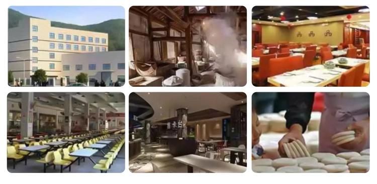Commercial Frozen Fish Pork Beef Chicken Meat Cutting Machine