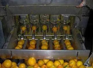 World Top Manufacturer of NFC Orange Juice Processing Equipment