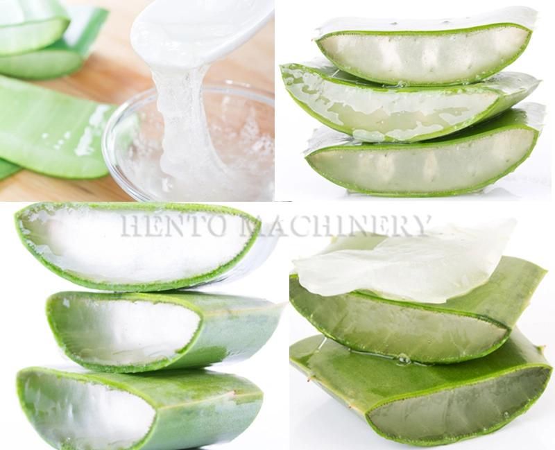 Stable Performance Automatic Aloe Brush Washing Machine / Aloe Vera Peeling Machine / Aloe Vera Dice Equipment / Aloe Vera Cubes Cutter