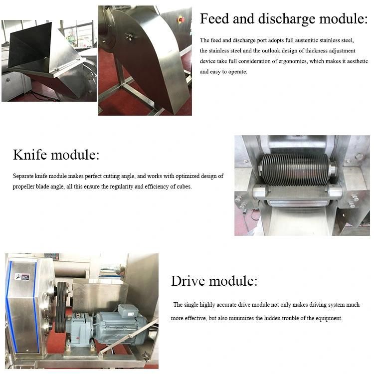 Cutting Knife 3D Frozen Boneless Beef/Buffalo Meat Germany Special Dicing Machine