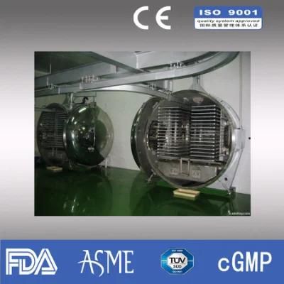 China Ce &amp; ISO Certified Lyophilizer Vacuum Freeze Dryer