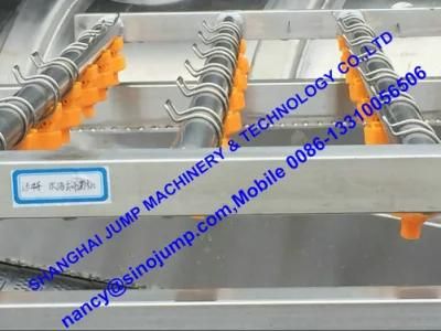 Automatic Fruit Washing Machine/ Brush Fruit Washing Machine