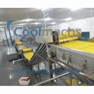 Raspberry/Wolfberry/Berries Quick Freezing Production Line/Fruit IQF Quick Freezing