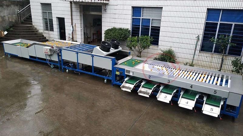 Tomato Potato Carrot Color Pepper Automatic Loading Selecting Sorting Machine