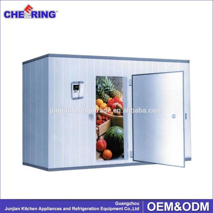 Energy Saving Fish Fruit Vegetable Meat Seafood Preservation Walk in Cold Storage Cold Room Freezer