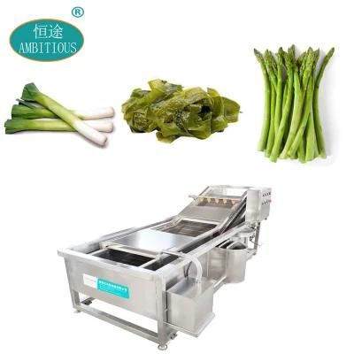 Seaweed Leek Asparagus Bubble Vegetable Washing Machine with Ozone