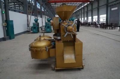 Good Quality Oil Press From Guangixn