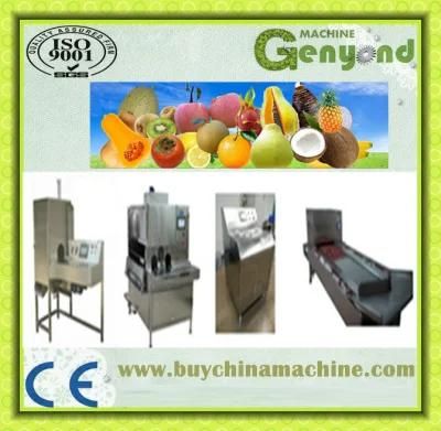 Fruit Cutting Machinery for Sale in China