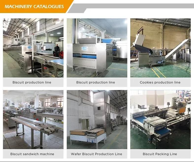 Automatic Stand Mixer Dough Mixing Machine Snack/Biscuit/Bread/Cookies Flour Sheeting
