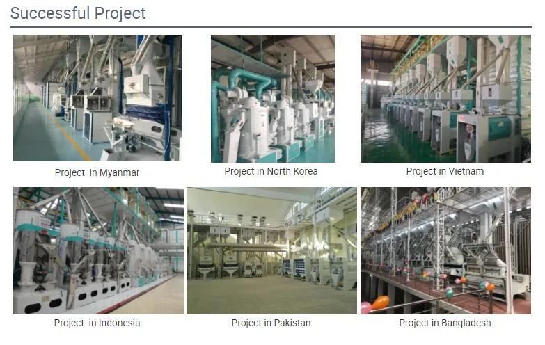 50-1000ton Complete Plant