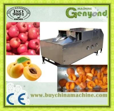 Fruit Core Removing Machine Fruit Pitter