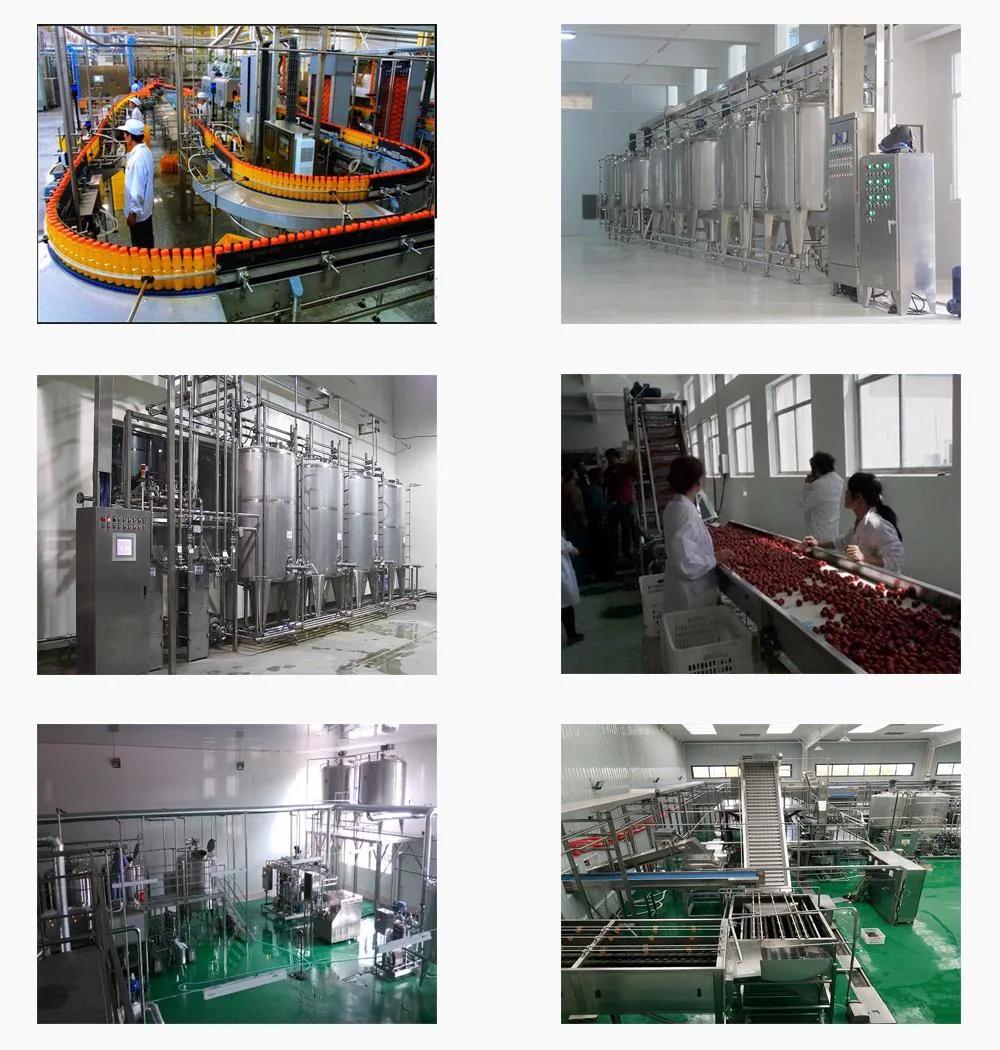 Ws High Efficiency Automatic Fresh Juice Jam Making Equipment Production Line