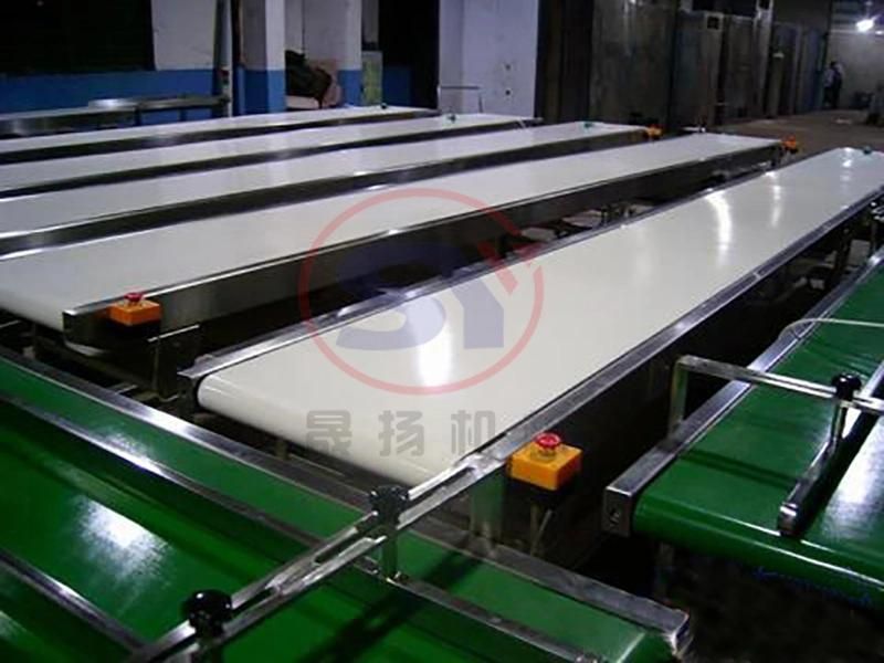 Horizontal Belt Powder Coating Conveyor for Raw Material Flat Transmission