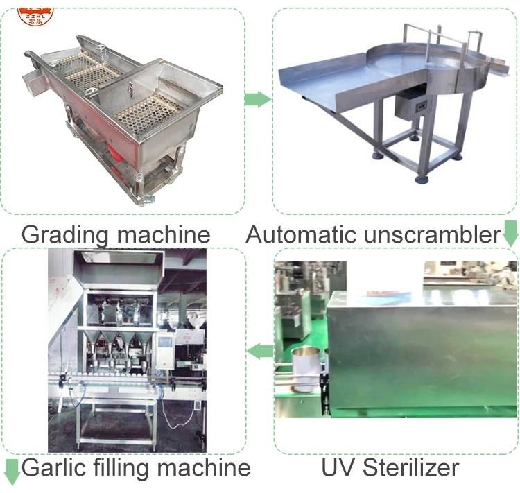 Garlic Cloves Filling Production Line with Liquid Nitrogen Full Automatic Garlic Peeling Machine