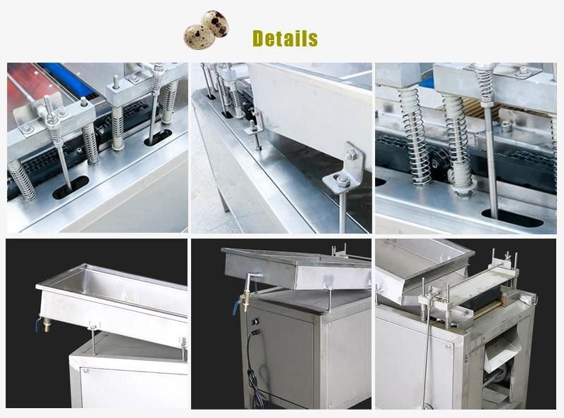 Save Labour Household Quail Egg Peeling Machine with Double Sponge Pat