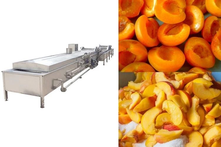 Conveyor Belt and Blanching Machinery Fruit Steam Blancher Machine