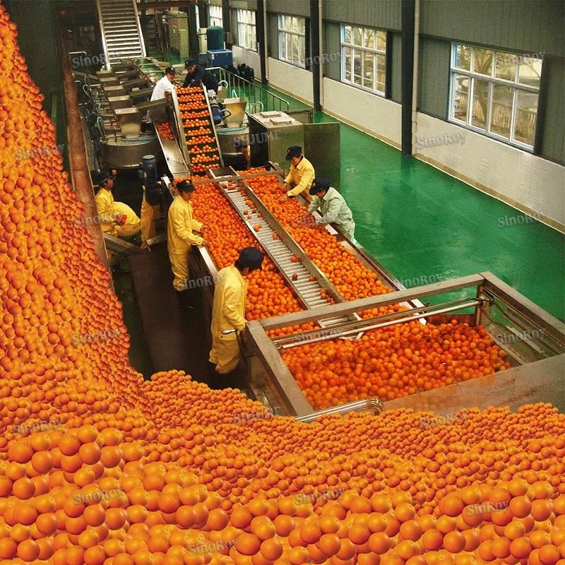 1000 Tons Diversity Fruit Production Lines Machines for Apricot Paste, Citrus Grape NFC Juice, Avocado Puree Jam Sauce Ketchup