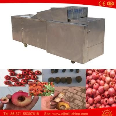 Stainless Steel Cherry Olive Dates Pitting Machine Electric Cherry Pitter