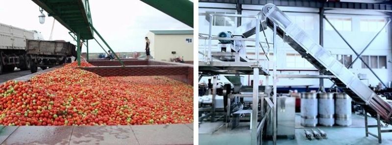 Strawberry Jam Puree Juice Production Processing Making Machine