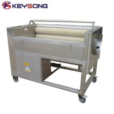 Cherry Potato Tomato Fruit Vegetable Industrial Washing Machine Plant