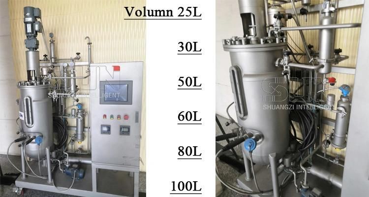 50L Jacketed Stainless Steel Mechanical Stirring Fermenter