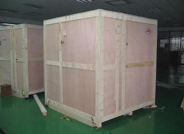 Factory Supply Automatic Onion Peeling and Root Cutting Machine
