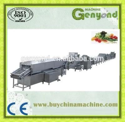 Automatic IQF Baby Corn Process Plant