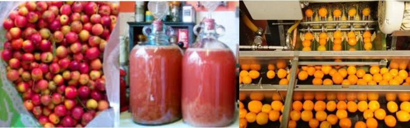 Fruit Wines, Fermented Alcoholic Beverages Pasteurization Machine