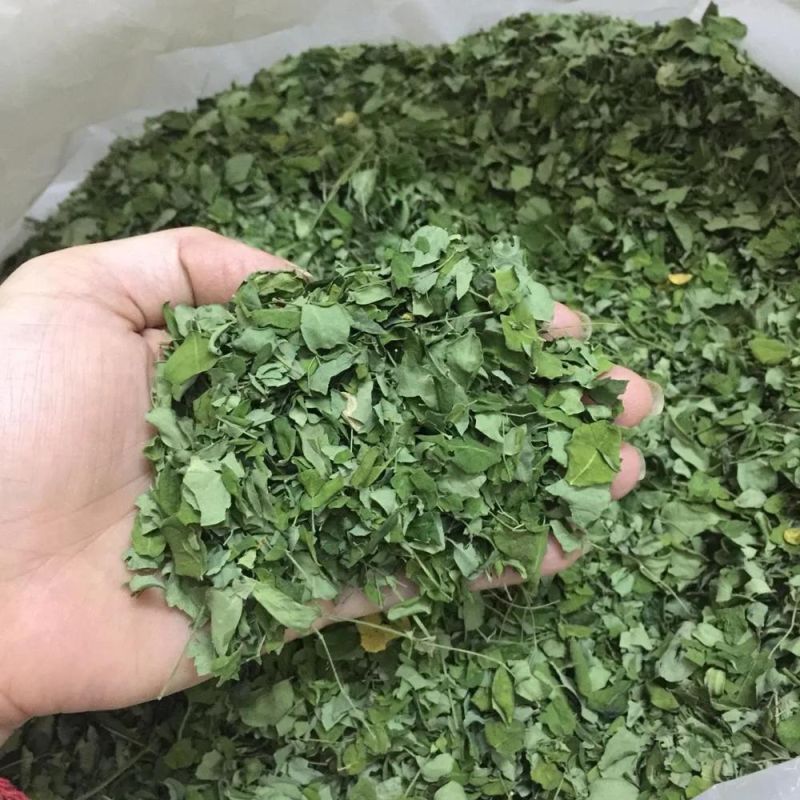 Heat Pump Dryer Vegetable Dehydration Machinery Moringa Leaf Drying Machine