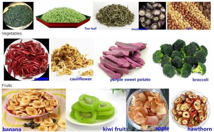 Dehydrated Vegetable Chips Vegetable Dewatering Machine