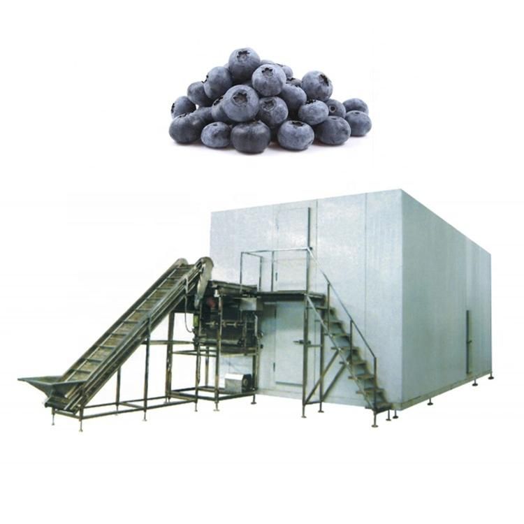 Industrial Fruits Freezer Fluidized IQF Freezer for Mango Chunks