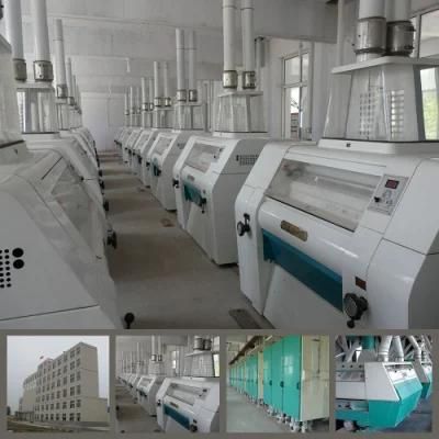 Specially for Export of 300t/24h Wheat Flour Milling Machinery