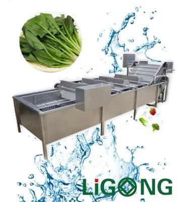 Industrial Fruit Leaf Vegetable Cleaning Washer and Washing Processing Machinery