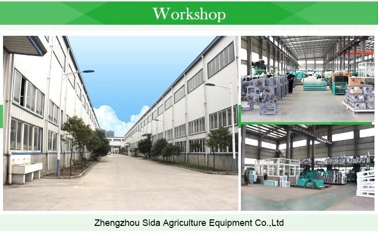China Factory Direct Sale 50tons Fully Automatic Paddy Processing Machine