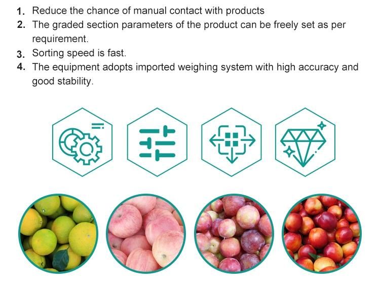 Fruits Apple Potato Onion Tomato Peach Grading Sorting Machine