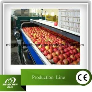 Automatic Power Apple Juice Production Line