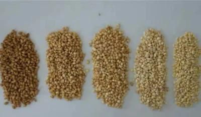 Clj Brand Highland Barley Processing Professional Auto Rice Mill Machine