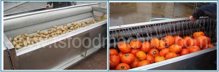 Brush Washing and Peeling Machine Special for Fruit and Vegetables Washer with Ce