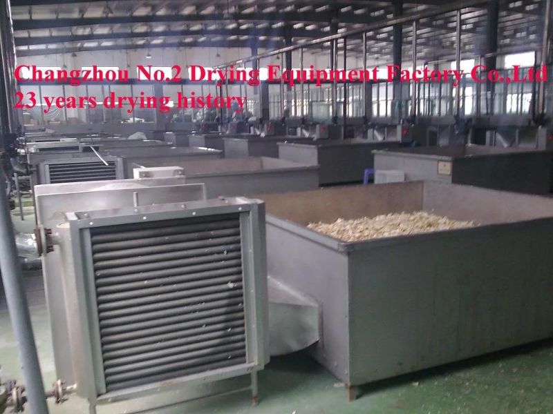 Box Drier for Small Capacity Fruits Drying