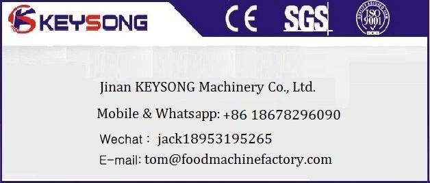 Commercial Potato Chips French Fries Process Line Food Machinery