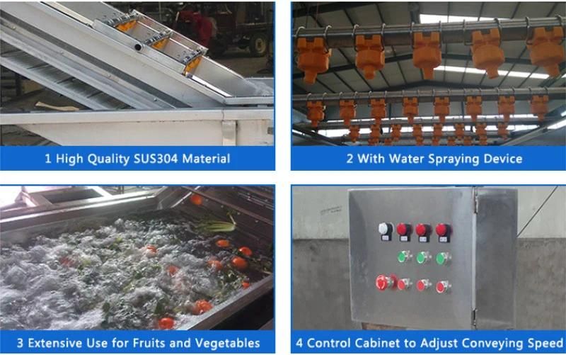 Chinese Suppliers Stainless Steel Automatic Vegetable and Fruit Washing Machine