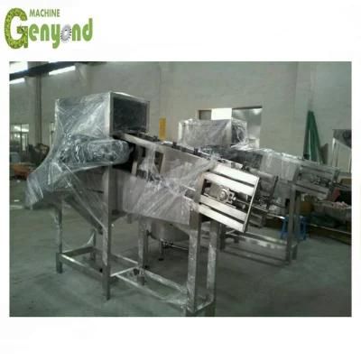 Complete Food Standard Coconut Milk Machine