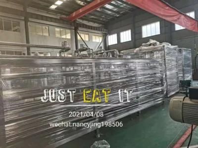 High Capacity Watermelon Syrup Production Line