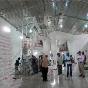 80t Corn Mill Machine Plant