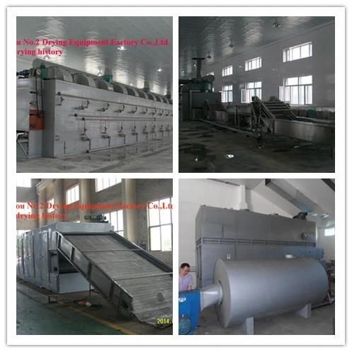 Dw Model Continous Cassava Slice Mesh Belt Dryer/Conveyor Dryer