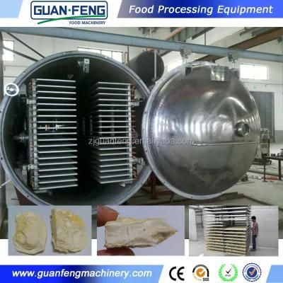 100kg Commercial Stainless Steel Food Vacuum Freeze Dryer Vegetables Lyophilizer